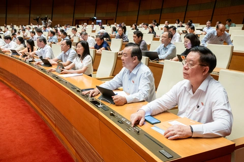 dán nhãn năng lượng - Ảnh 1.