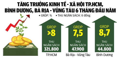 TP.HCM - Ảnh 2.