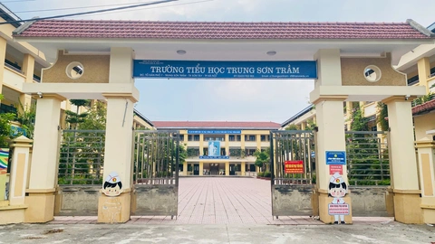 gạ tình - Ảnh 1.