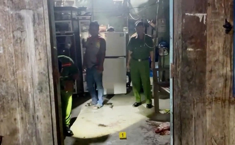 va chạm với chó - Ảnh 1.