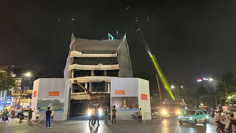 Hàm cá mập - Ảnh 6.