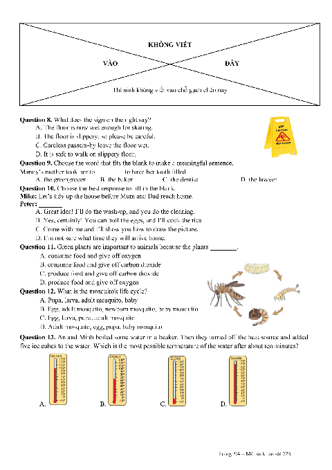 lớp 6 - Ảnh 4.