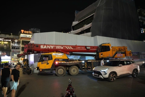 Hàm cá mập - Ảnh 3.