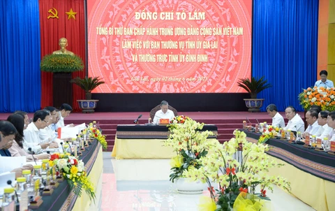 Tổng Bí thư: Gia Lai, Bình Định - cuộc hội ngộ những người con của mẹ Âu Cơ và Lạc Long Quân - Ảnh 3.