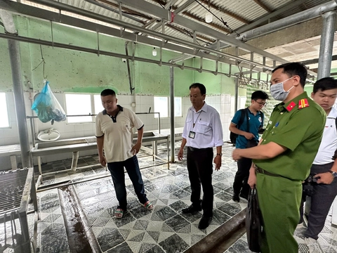 Heo sau giết mổ phát hiện bệnh lý về da, xử lý thế nào? - Ảnh 1.