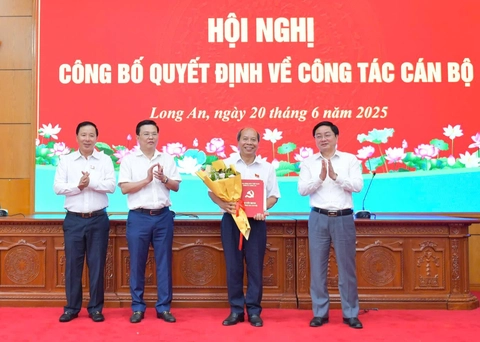 nghỉ hưu - Ảnh 1.