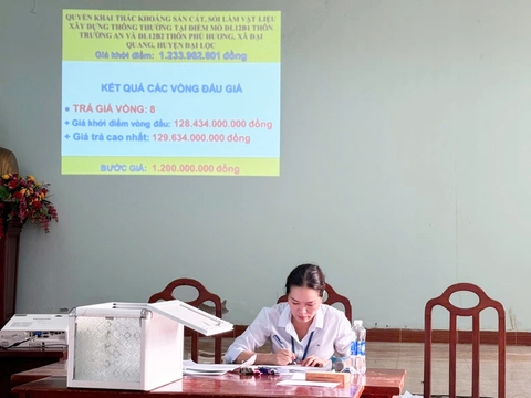 Đấu giá 3 mỏ cát Quảng Nam: Giá khởi điểm vài tỉ, trúng hàng trăm tỉ đồng - Ảnh 3.