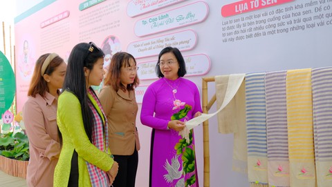 Du lịch nông nghiệp gắn với xu hướng sống xanh nở rộ ở Đồng Tháp - Ảnh 2. Đồng Tháp - Ảnh 2.