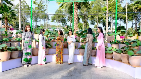 Du lịch nông nghiệp gắn với xu hướng sống xanh nở rộ ở Đồng Tháp - Ảnh 1. Đồng Tháp - Ảnh 1.