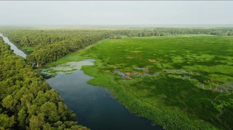 Du lịch nông nghiệp gắn với xu hướng sống xanh nở rộ ở Đồng Tháp - Ảnh 3. Đồng Tháp - Ảnh 3.