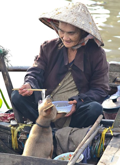 thằn lằn - Ảnh 5.