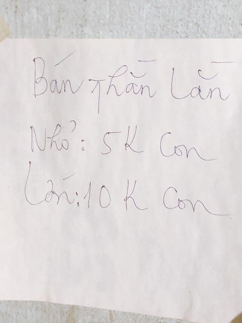 Ảnh vui 23-6: Thời buổi này cái gì cũng có thể... xảy ra! - Ảnh 1.