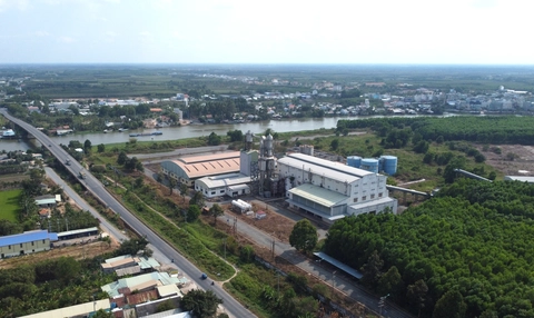 nhà máy bột giấy - Ảnh 1.