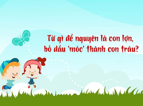 câu đố - Ảnh 1.