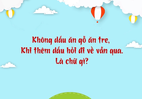 câu đố - Ảnh 2.
