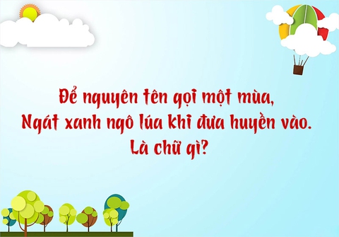 câu đố - Ảnh 4.