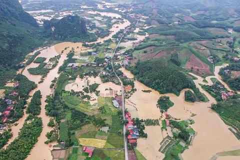 mưa lớn - Ảnh 1.