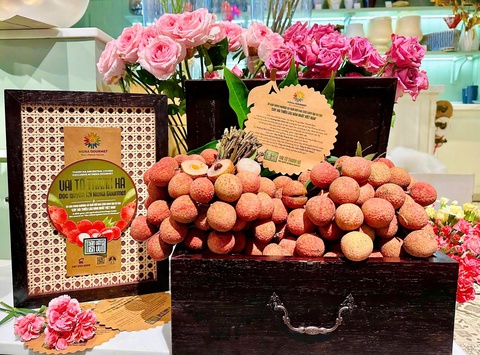 Đưa vải tổ Thanh Hà đến tay người sành ăn - Ảnh 3.