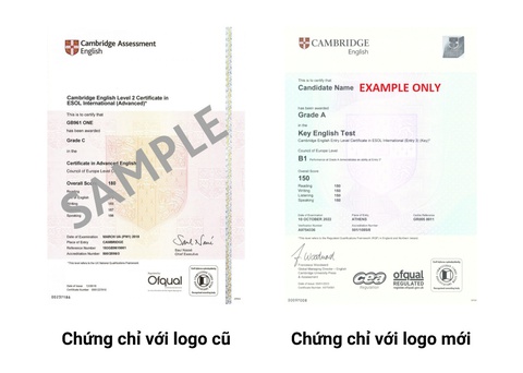 Cambridge - Ảnh 2.