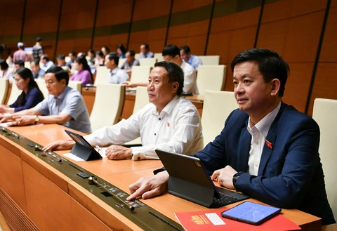 tòa án - Ảnh 1.