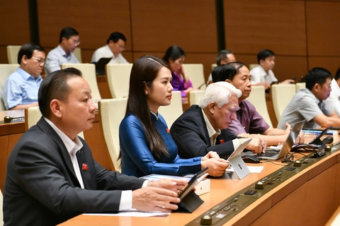 thanh tra - Ảnh 1.