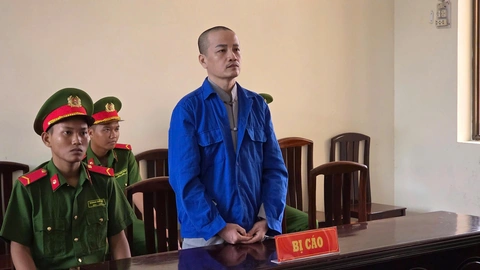 trộm cắp tài sản - Ảnh 1.