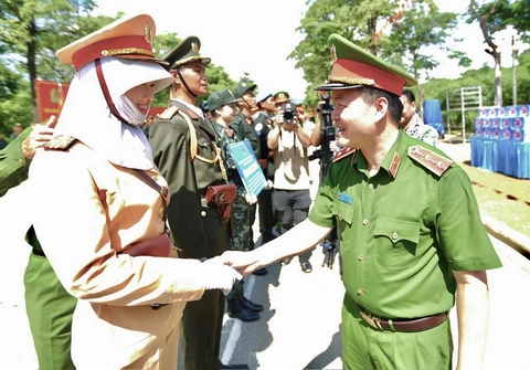 diễu binh - Ảnh 1.
