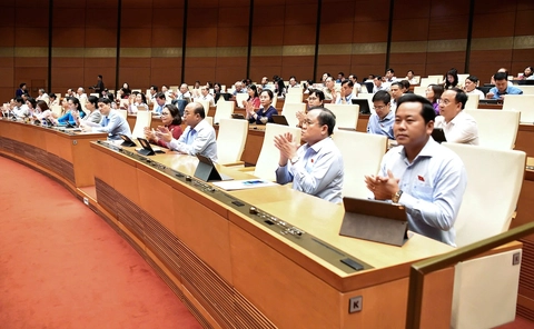 miễn học phí - Ảnh 3.