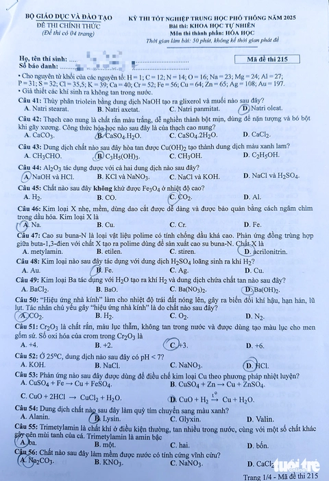 đề tổ hợp - Ảnh 1.