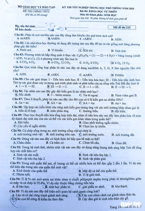đề tổ hợp - Ảnh 5.