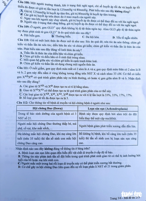 đề tổ hợp - Ảnh 7.