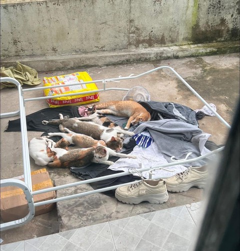 thi tốt nghiệp - Ảnh 3.