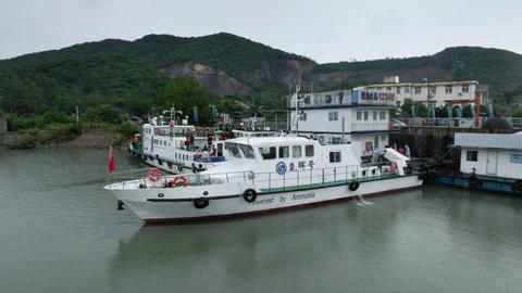 amoniac - Ảnh 1.