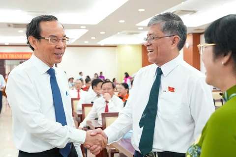 HĐND TP.HCM - Ảnh 1.