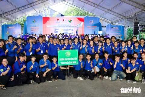 mùa hè xanh - Ảnh 11.