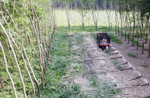 Rủi ro trong đấu thầu: Cẩn trọng để không trượt thầu oan - Ảnh 1.