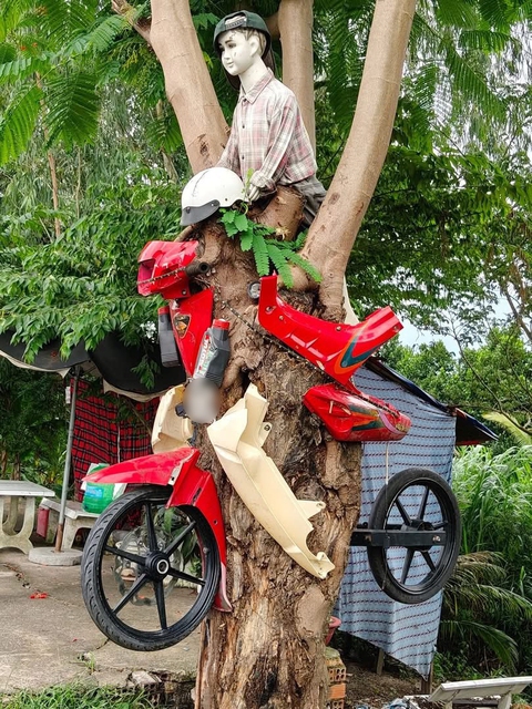 17 bẻ gãy sừng trâu - Ảnh 5.