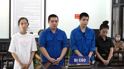LỪA ĐẢO - Ảnh 1.