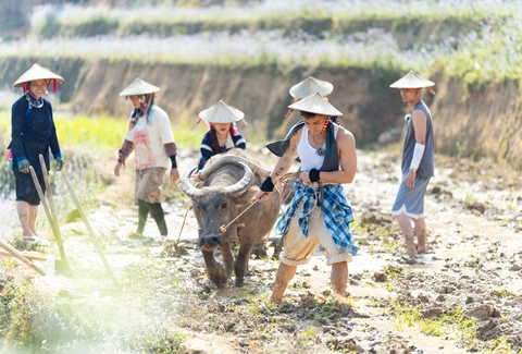 Gia đình Haha: show chữa lành nhưng rách miệng vì cười - Ảnh 2. Gia đình Haha: chữa lành tâm hồn, nhưng rách miệng vì cười - Ảnh 2.