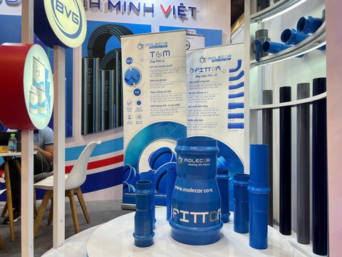 Bình Minh Việt - Ảnh 2.