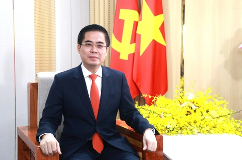 Quảng Ngãi - Ảnh 2.