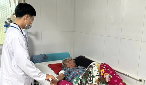 nhiễm khuẩn liên cầu lợn - Ảnh 1.