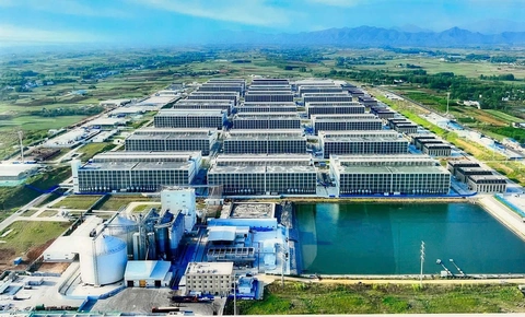 Xin ý kiến Thủ tướng cho làm mô hình 'chung cư nuôi heo' ở Việt Nam - Ảnh 1.