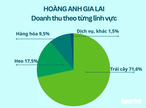 Bầu Đức - Ảnh 3.