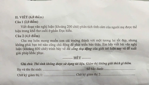 ngữ văn - Ảnh 3.