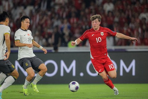 Indonesia - Ảnh 1.
