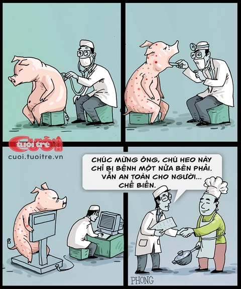 chú heo - Ảnh 1.