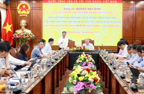 dự án - Ảnh 1.