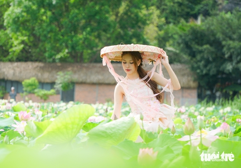 Cầm 100.000 đồng săn ảnh đã đời ở đầm sen đẹp nhất Ninh Bình - Ảnh 1. ninh bình - Ảnh 1.