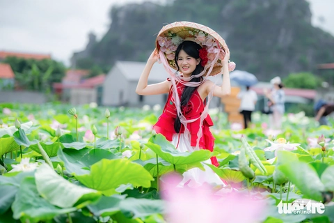 Cầm 100.000 đồng săn ảnh đã đời ở đầm sen đẹp nhất Ninh Bình - Ảnh 3. ninh bình - Ảnh 3.